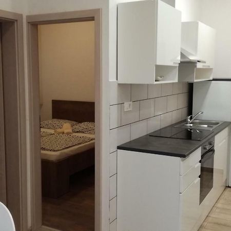 Appartma Katja Gabrovica pri Črnem Kalu Esterno foto